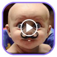 Funny Videos