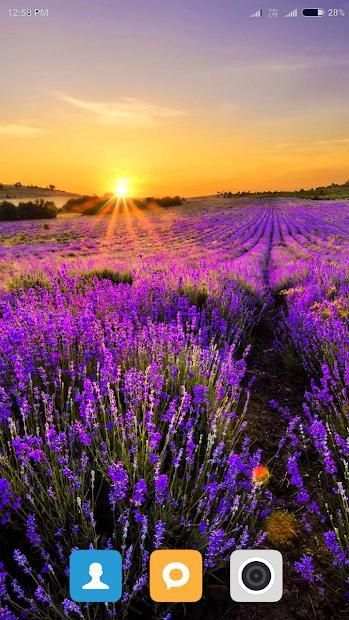 HD Nature Wallpaper screenshot 11