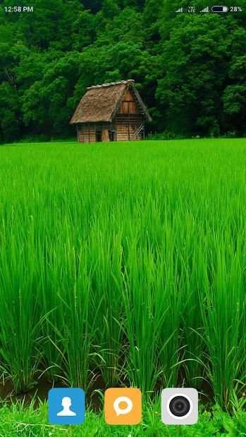 HD Nature Wallpaper screenshot 15