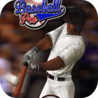 Baseball Pro