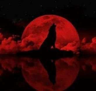 blood moon wallpaper स्क्रीनशॉट 3
