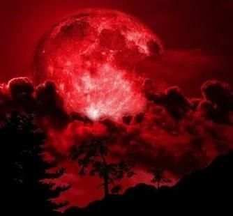 blood moon wallpaper स्क्रीनशॉट 4