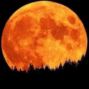blood moon wallpaper स्क्रीनशॉट 5