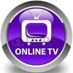 Megatv 1.0