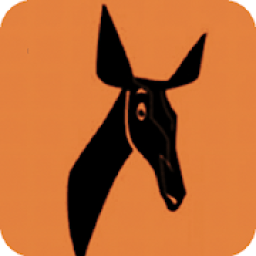 ikon Radio Okapi