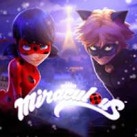 Miraculous Ladybug Run Adventure