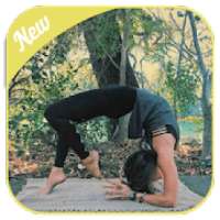 Daily Yoga - Yoga Fitness Plans on 9Apps