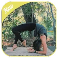 20 min Yoga for Flexibility - Sweet Release Full Body Stretch 