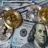 EARN REAL MONEY (Dollar & Bitcoin)