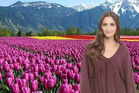 Tulip Photo Frame 2018 screenshot 2