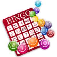 BINGO MINI - WIN REAL CASH!