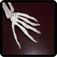 Arthritis Best Tips -Arthritis Treatment-Arthritis on 9Apps