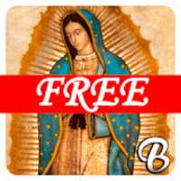 La Rosa De Guadalupe Lupita FREE GRATIS on 9Apps