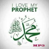 Sholawat Nabi Mp3 HD on 9Apps
