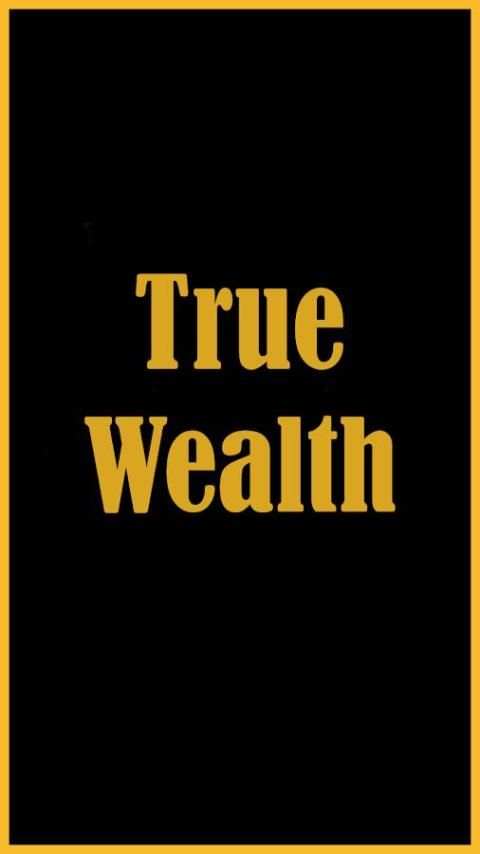 True Wealth screenshot 7