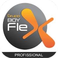Boy Flex - Profissional