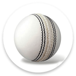 Cricket Buzz icon