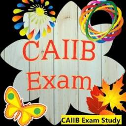 CAIIB Exam Study