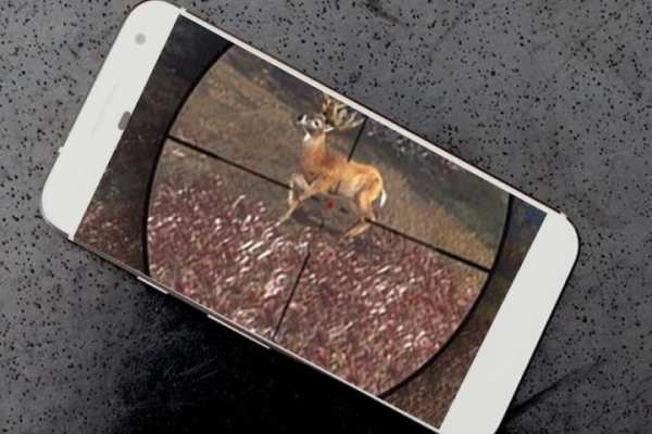 Animal Hunter sniper 3D screenshot 1