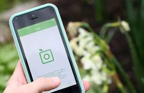 PlantSnap - Plants & Flowers Identification Guide screenshot 2