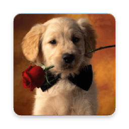 ikon Litle Puppy Wallpaper