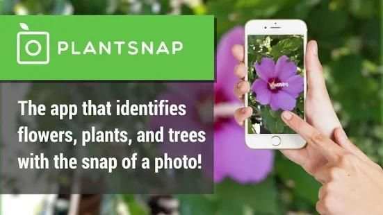 PlantSnap - Plants & Flowers Identification Guide screenshot 3