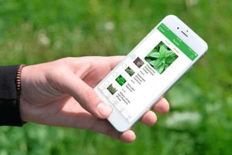 PlantSnap - Plants & Flowers Identification Guide screenshot 1