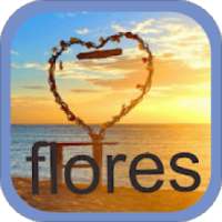 Lagu Flores Terpopuler on 9Apps