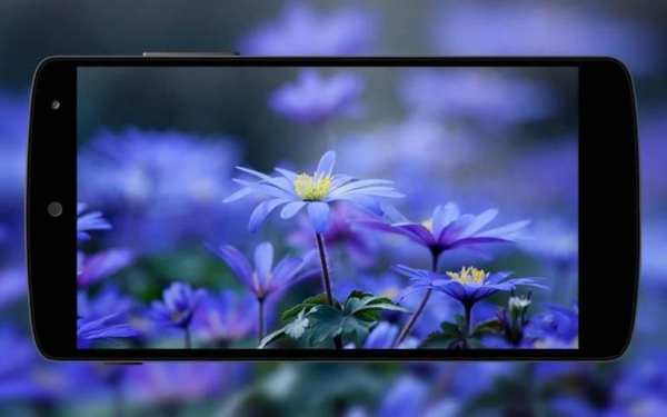 Flowers Wallpaper screenshot 3