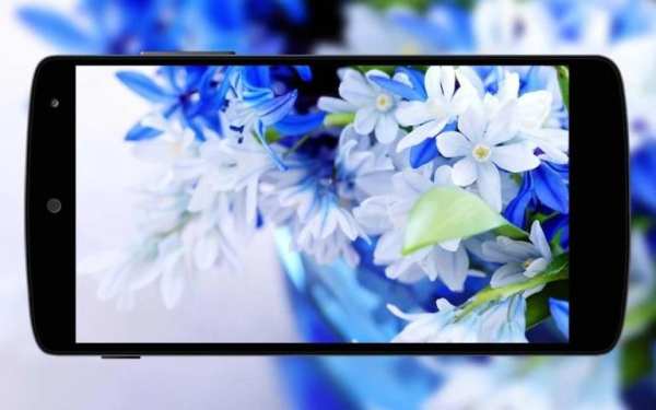 Flowers Wallpaper screenshot 8