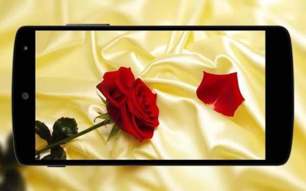 Flowers Wallpaper स्क्रीनशॉट 6