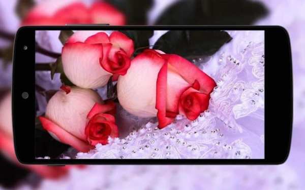 Flowers Wallpaper screenshot 2