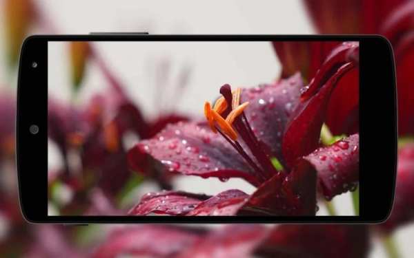 Flowers Wallpaper screenshot 4