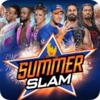 Summer Slam WWE : Summer Slam WWE , Top Matches