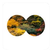 Cnature - לראות, לצלם ולדעת! on 9Apps