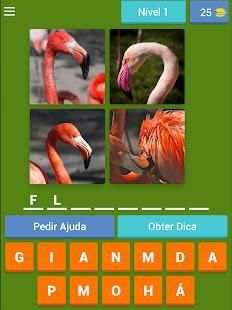 4 Fotos 1 Animal screenshot 14