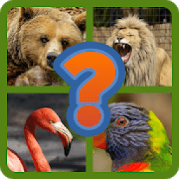 4 Fotos 1 Animal icon