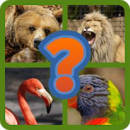 4 Fotos 1 Animal 3.1.7z