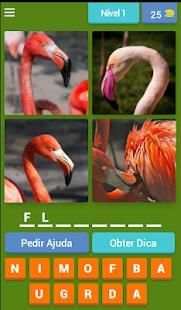 4 Fotos 1 Animal screenshot 21
