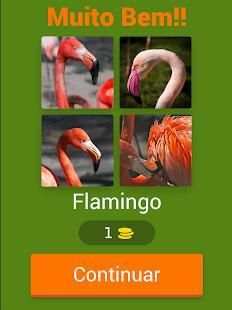 4 Fotos 1 Animal screenshot 13