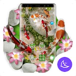 Koi Fish--APUS Launcher Free Theme&HD Wallpapers