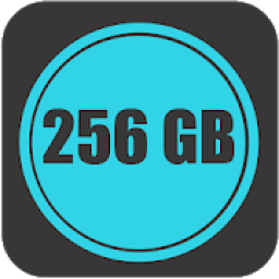 ikon 256GB RAM Booster