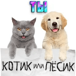 Тест какой ты котик или пёсик. Твой питомец आइकन