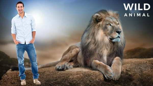 Wild Animal Photo Frames - Photo Editor स्क्रीनशॉट 4