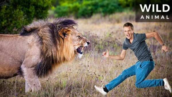 Wild Animal Photo Frames - Photo Editor स्क्रीनशॉट 2