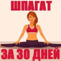 Шпагат за 30 Дней on 9Apps