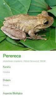 Fauna do Piaui screenshot 4