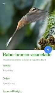 Fauna do Piaui screenshot 1