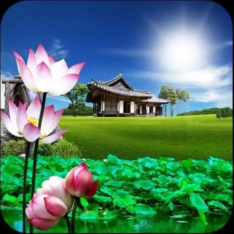 Lotus live wallpaper screenshot 1