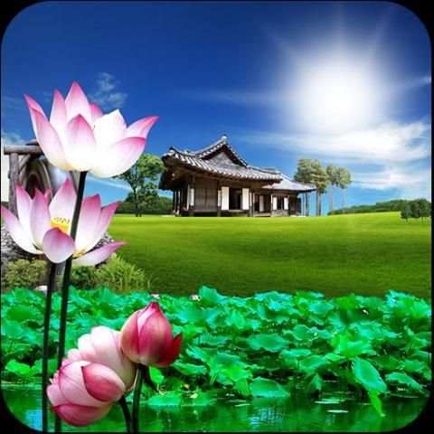 Lotus live wallpaper स्क्रीनशॉट 1